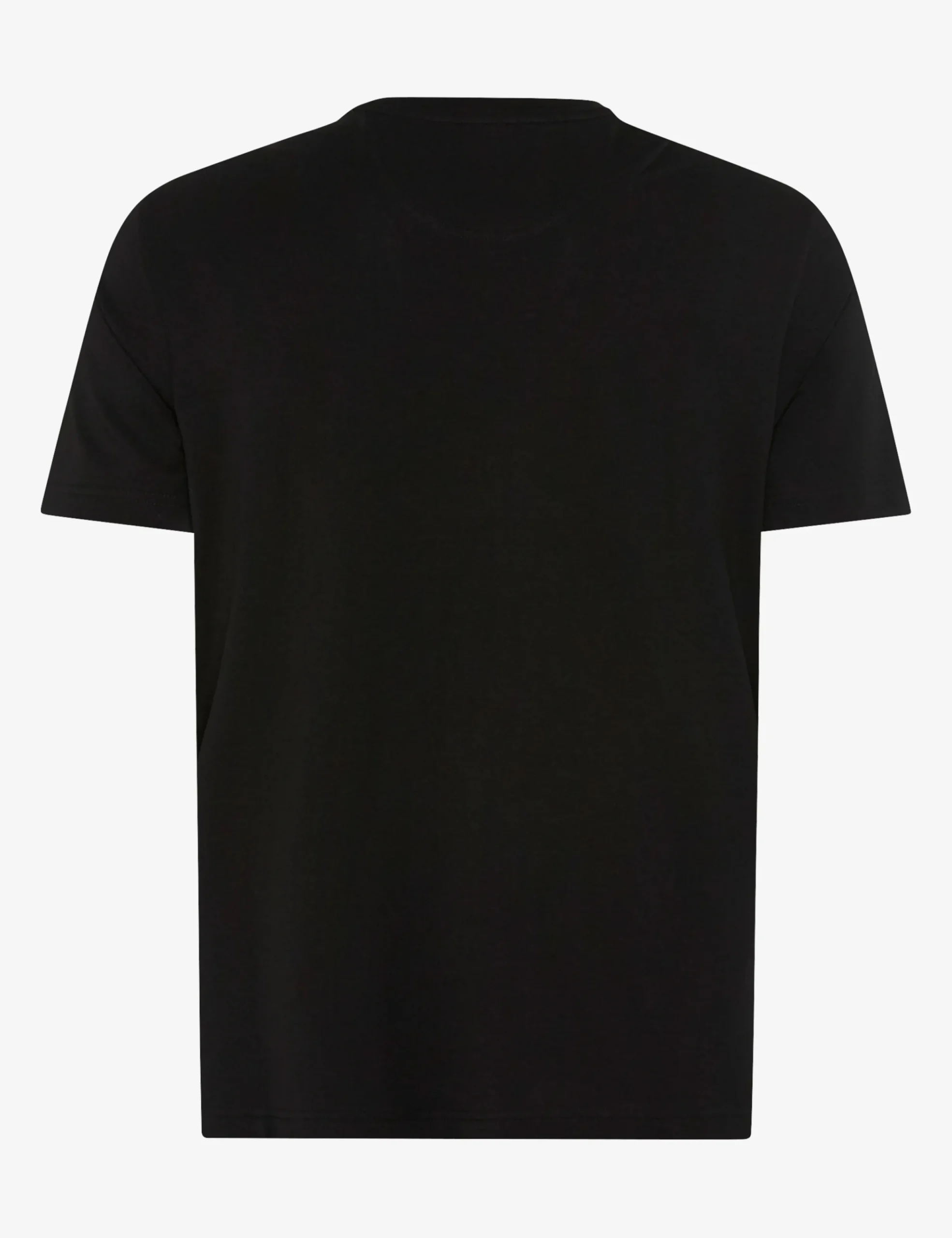 T-shirts-BRAX Style TED